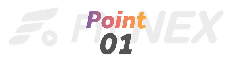 Point 01