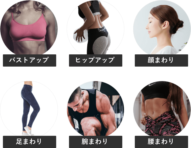 気になる部位ごとに多彩なフィットネスを収録